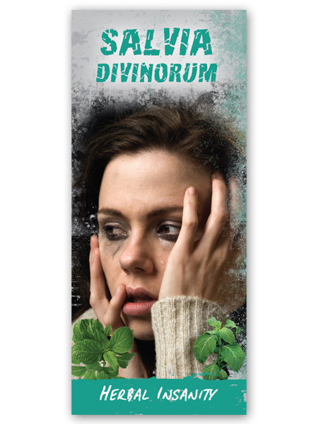Salvia Divinorum: Herbal Insanity Pamphlet