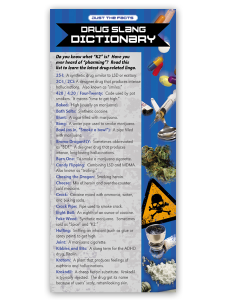 Just the Facts Rack Card: Drug Dictionary
