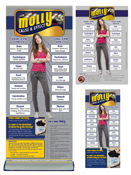 C&E Molly Prevention Retractable Banner Package