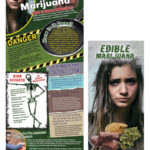 edible-marijuana-banner-web-banner_kit