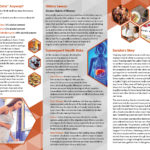 pss-st-01-women-alcohol-back