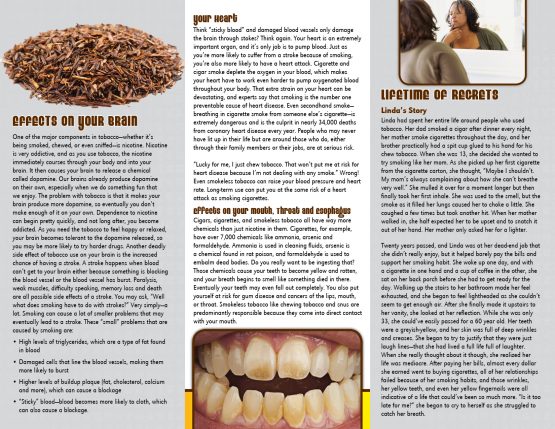 Cause & Effect Tobacco and the Body Pamphlet Primo Cause & Effect Tobacco and the Body Pamphlet Primo