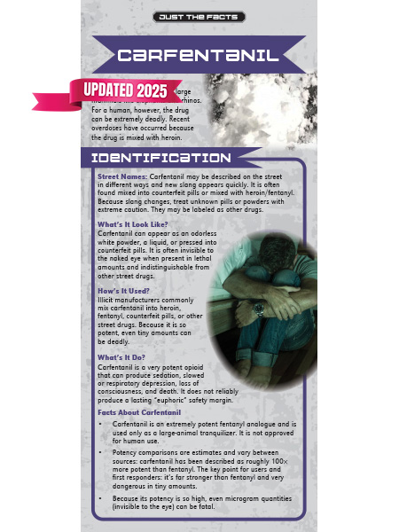 Just the Facts Rack Card: Carfentanil RACK-JTF-78 Updated WEB Cover