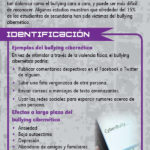 55S---Cyber-Bullying-SPAN-SPAN-FLAG