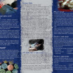 PAM-SSDA-24S-Molly-SPAN-FLAG