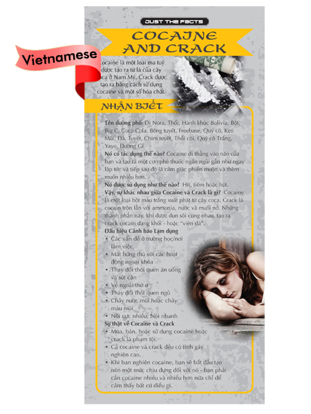 *VIETNAMESE* Just the Facts Rack Card: Cocaine & Crack