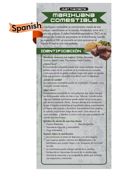 *SPANISH* Just the Facts Rack Card: Edible Marijuana