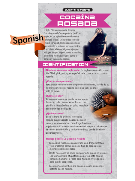 *SPANISH* Just the Facts Rack Card: Pink