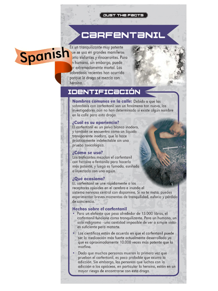 *SPANISH* Just the Facts Rack Card: Carfentanil